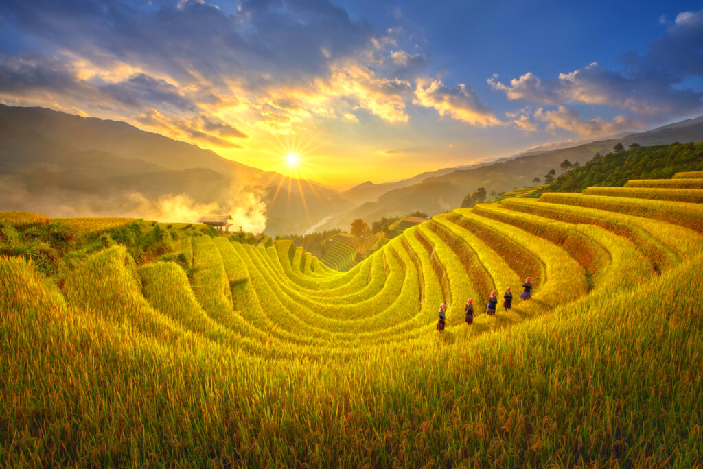 Luxury Vietnam: Where Five-Star Comfort Meets Timeless Culture