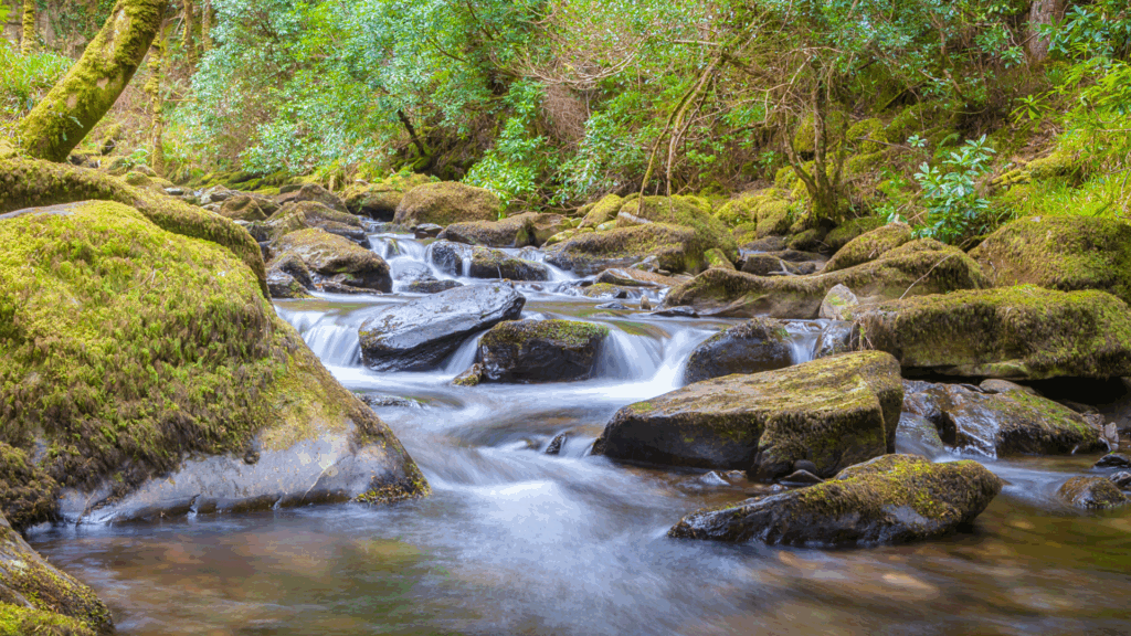 Wild Vietnam: Exploring the Country’s Most Spectacular National Parks