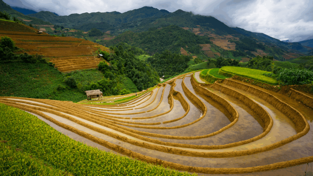VIETNAM DURING THE RAINY SEASON